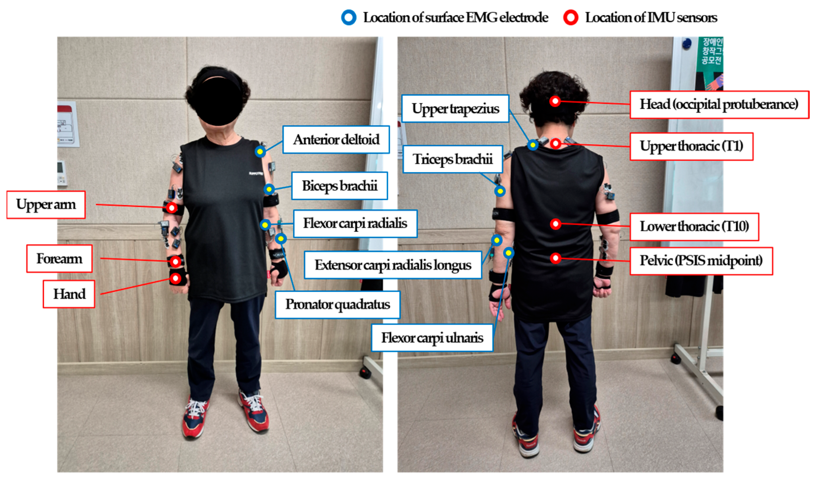 Applsci 15 09836 g001 Applsci 15 09836 g001