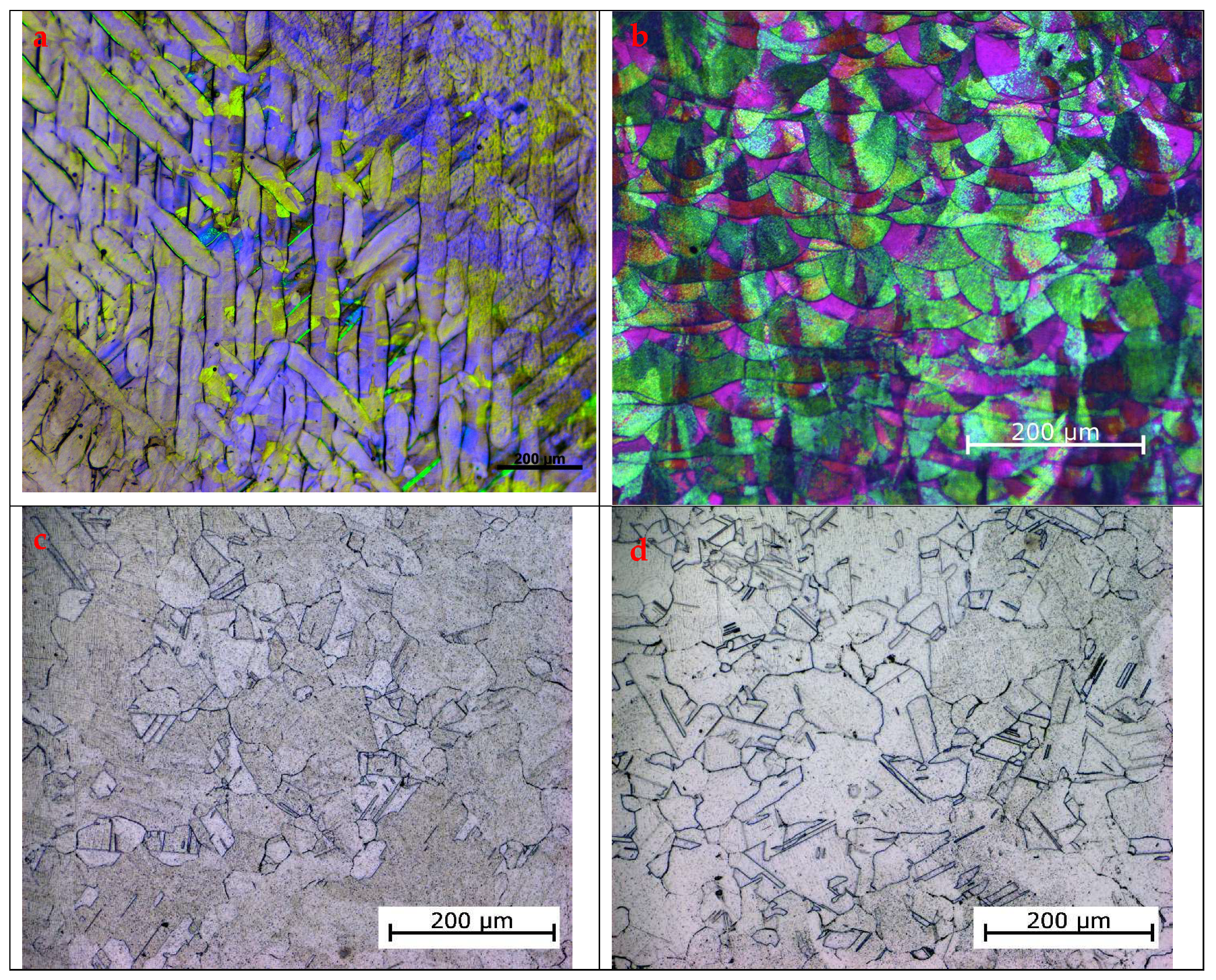 Applsci 15 09844 g003