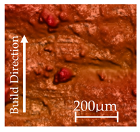 Applsci 15 09861 i001 Applsci 15 09861 i001