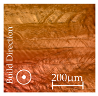 Applsci 15 09861 i002 Applsci 15 09861 i002