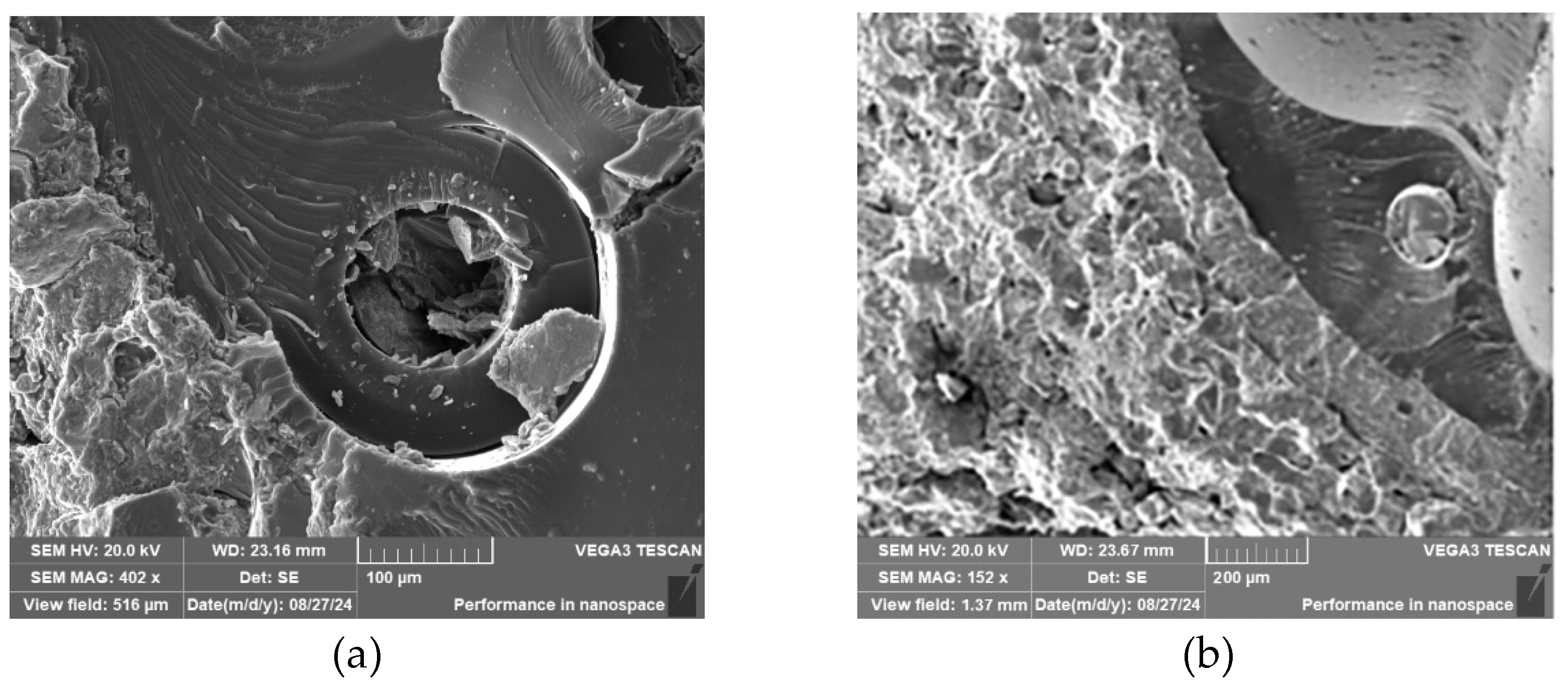 Applsci 15 09869 g004