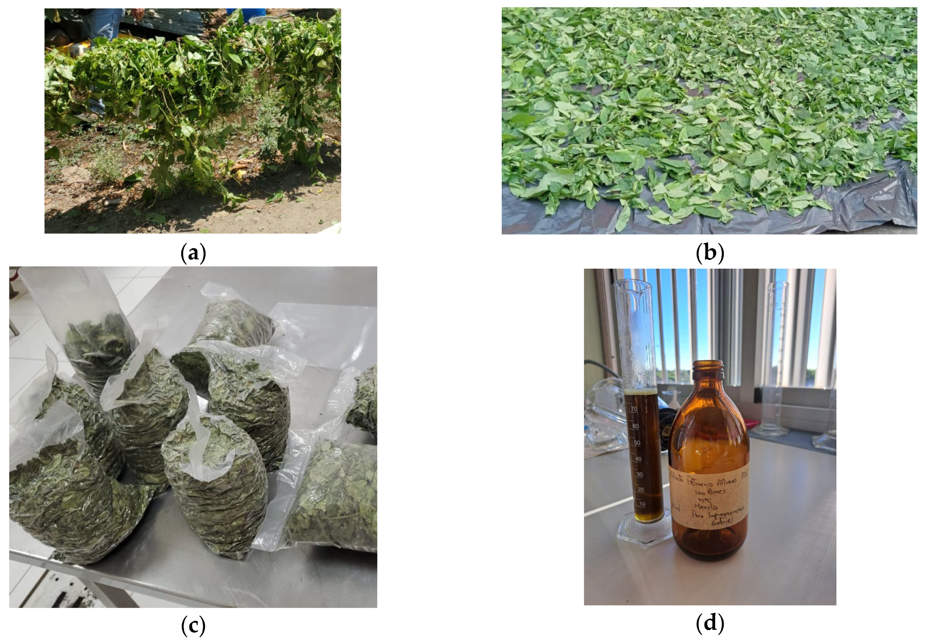 Applsci 15 09875 g001a