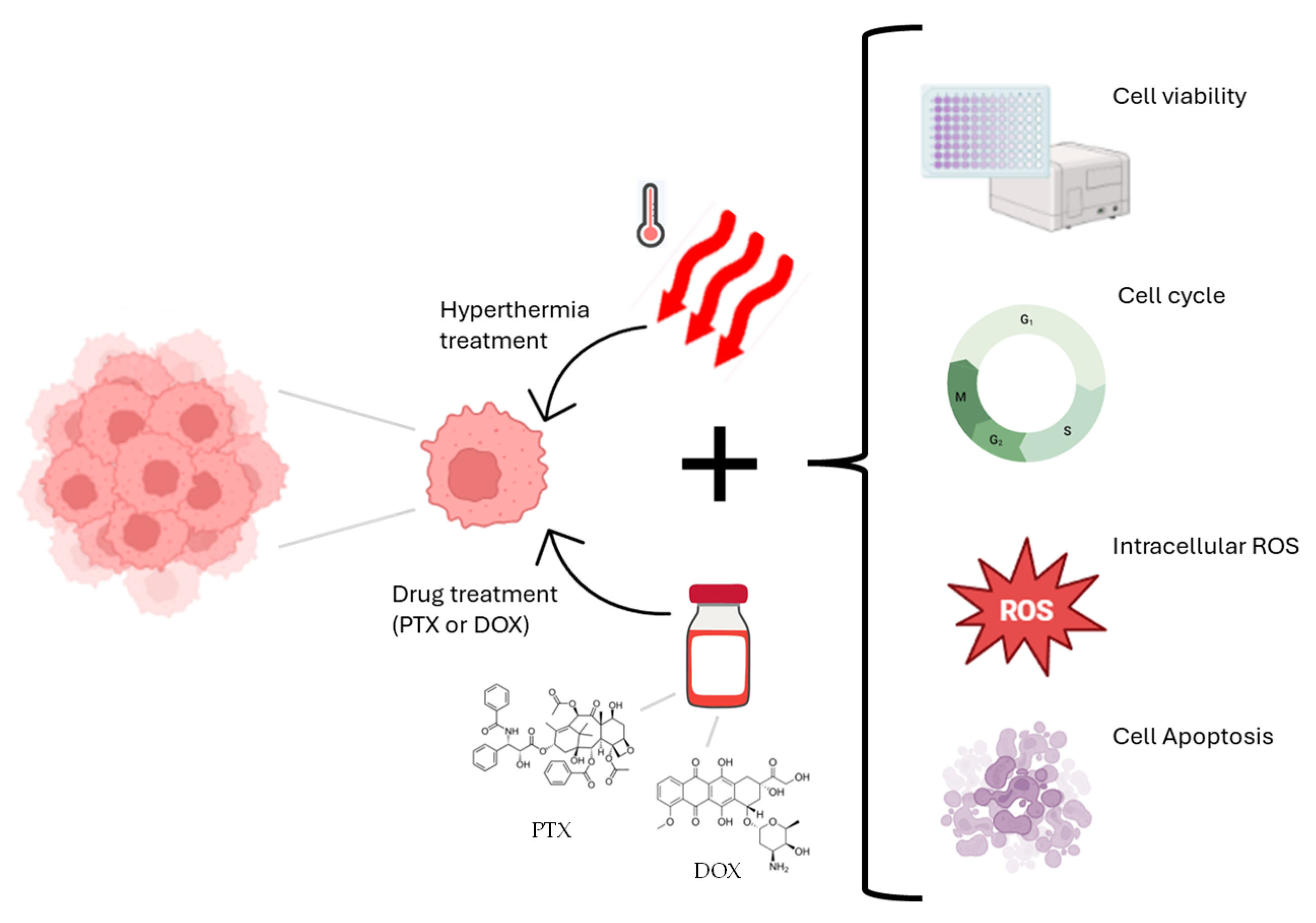 Applsci 15 09883 g001