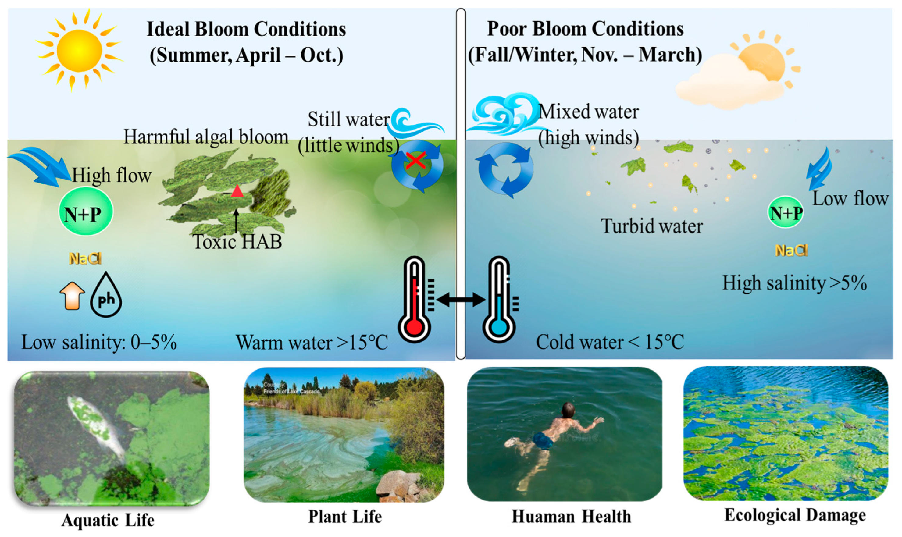 Applsci 15 09896 g002