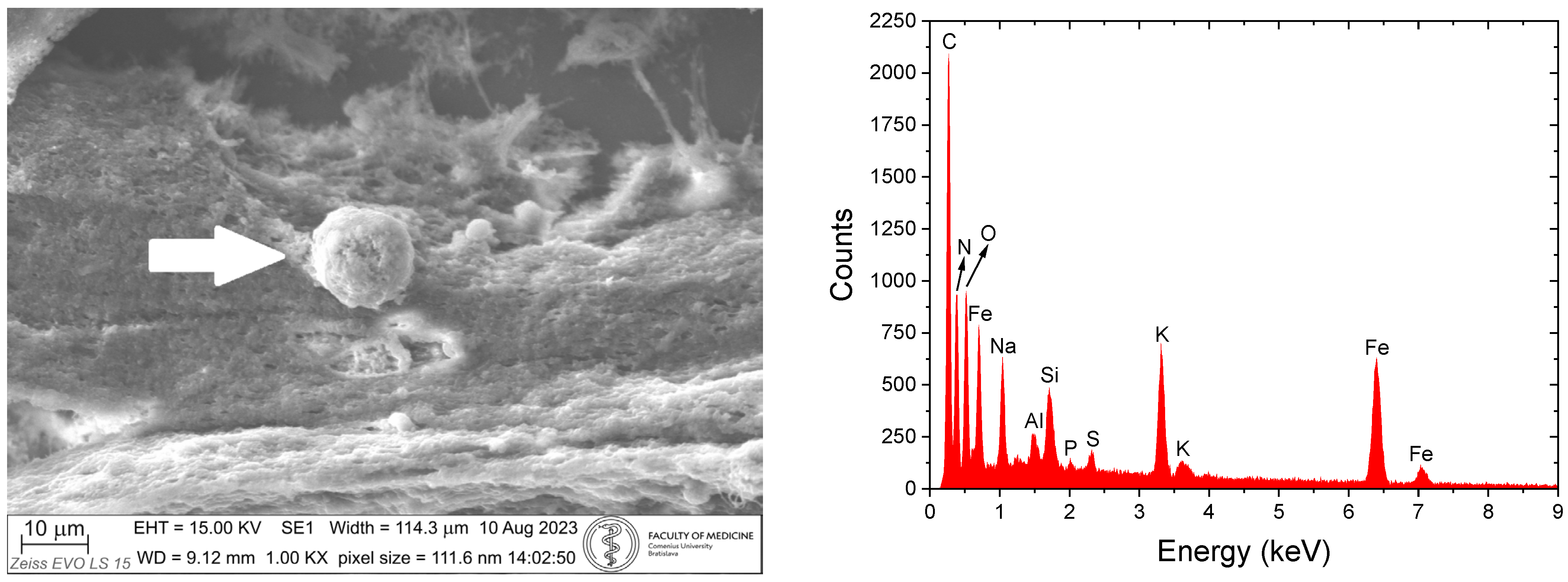 Applsci 15 09897 g005 Applsci 15 09897 g005