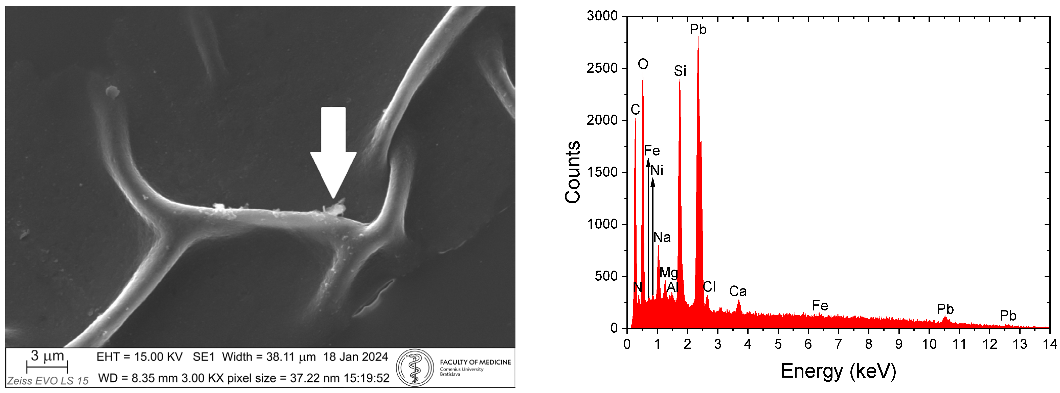 Applsci 15 09897 g007 Applsci 15 09897 g007