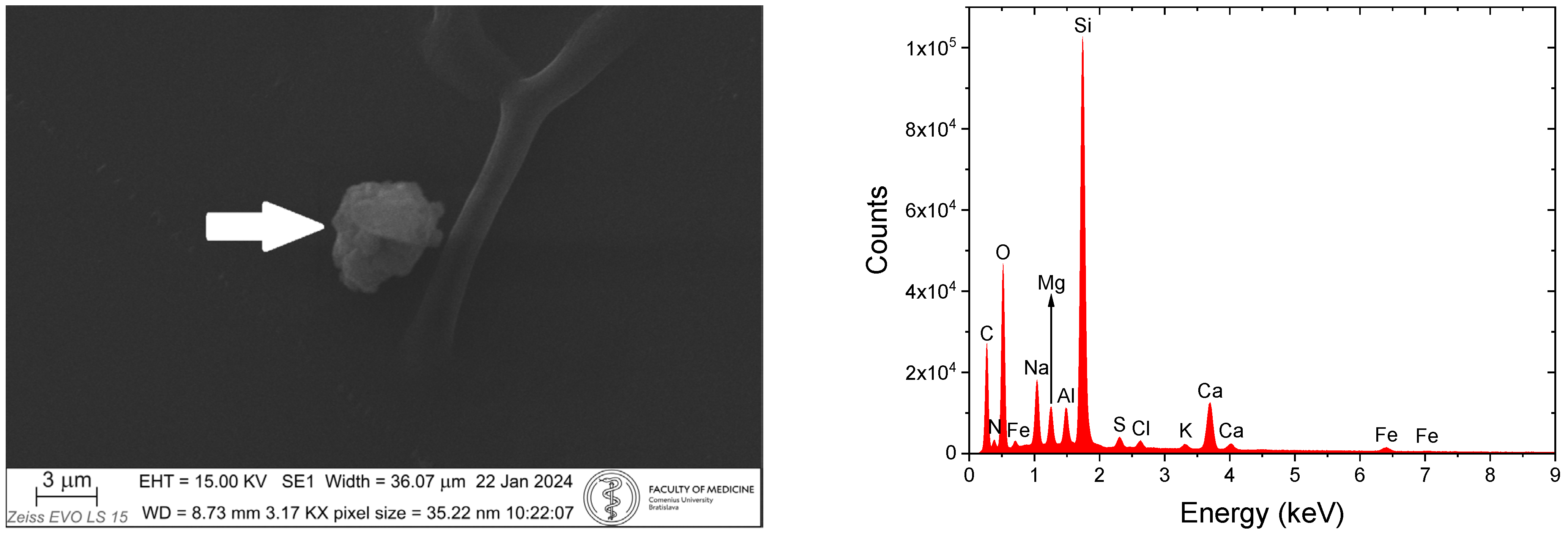 Applsci 15 09897 g008 Applsci 15 09897 g008