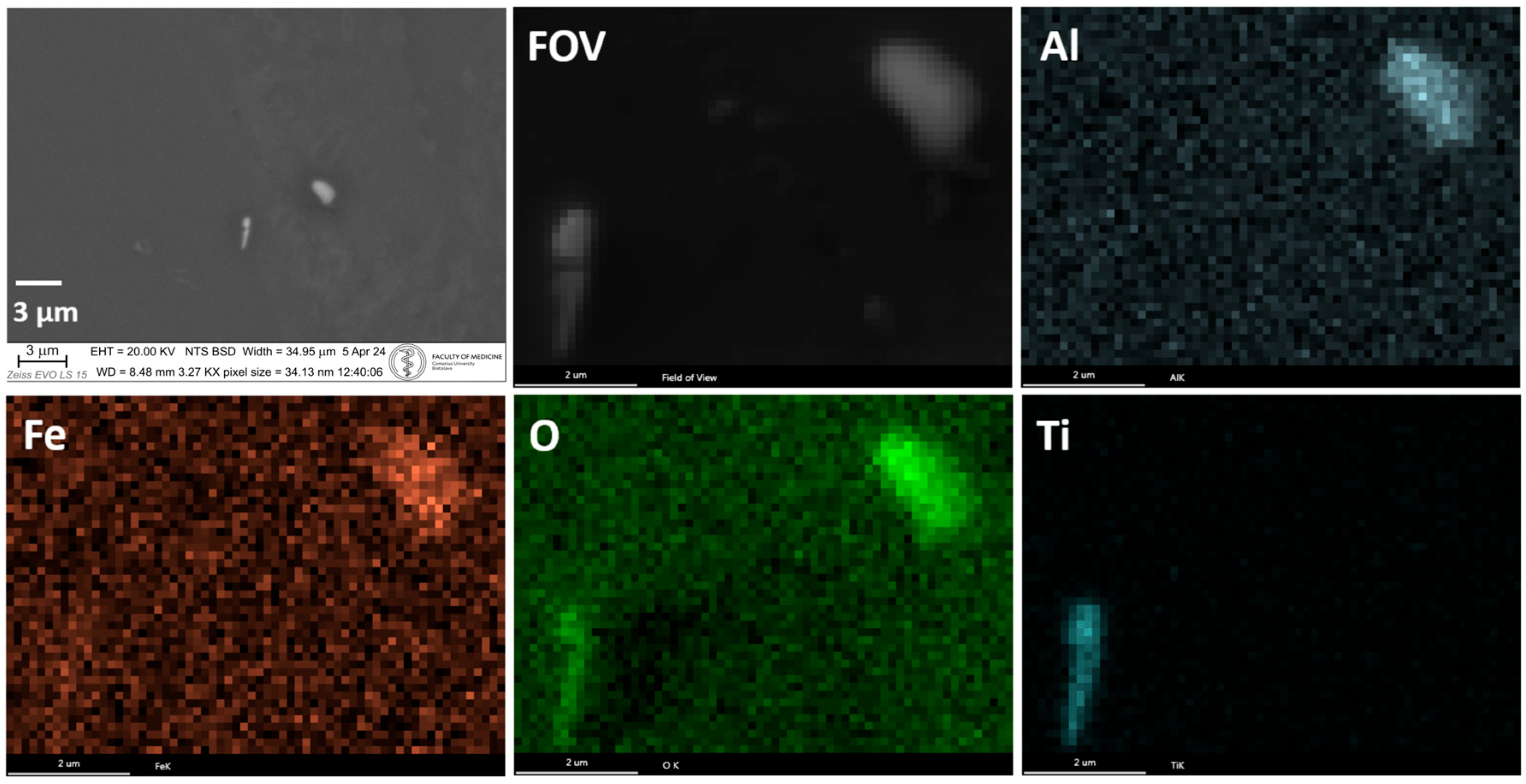 Applsci 15 09897 g010 Applsci 15 09897 g010