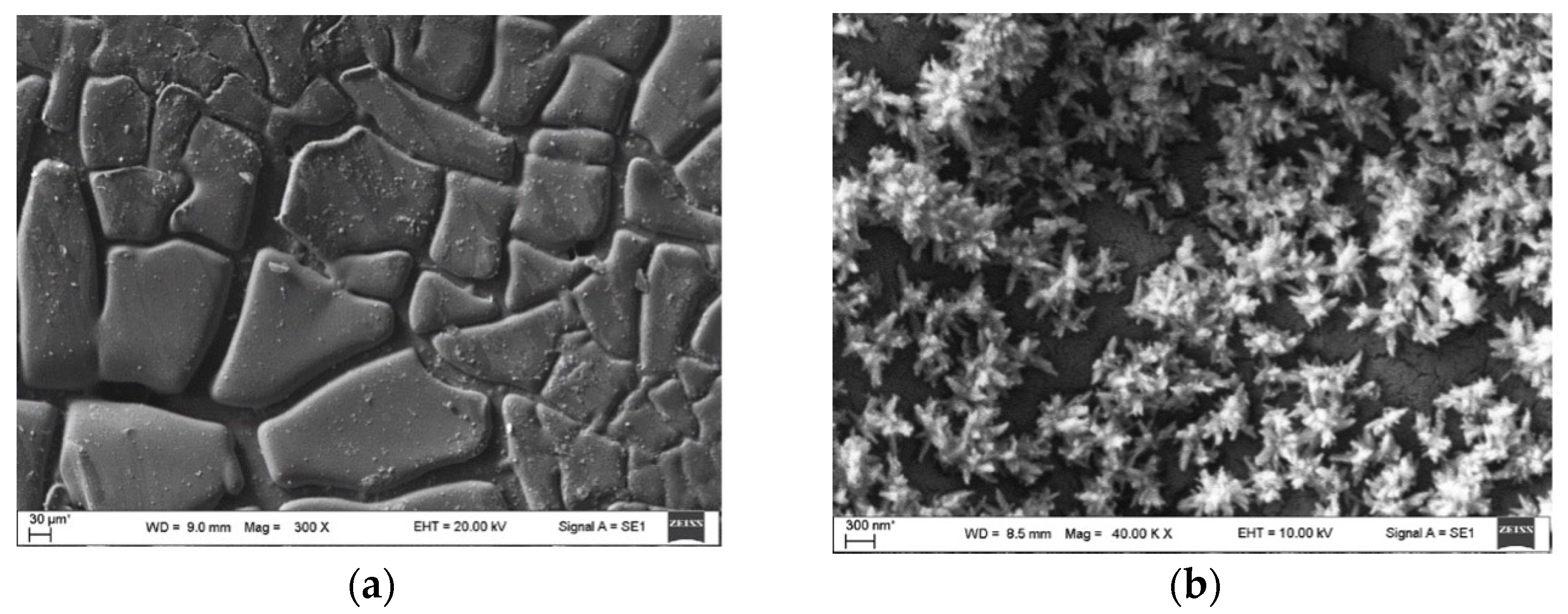 Applsci 15 09904 g005 Applsci 15 09904 g005