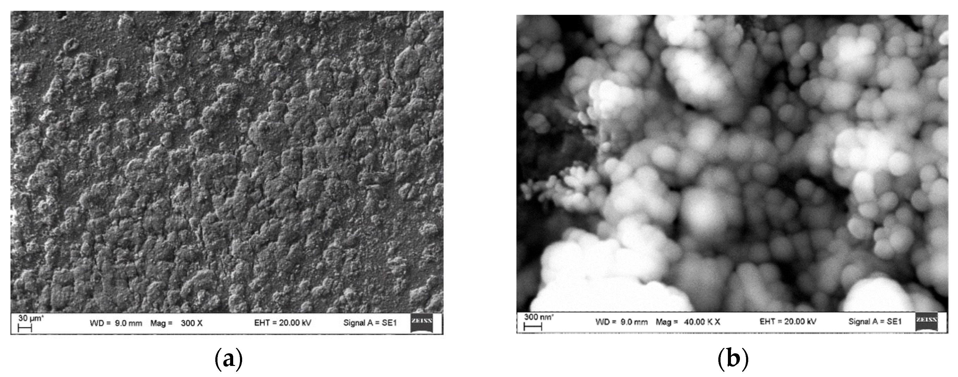 Applsci 15 09904 g009 Applsci 15 09904 g009