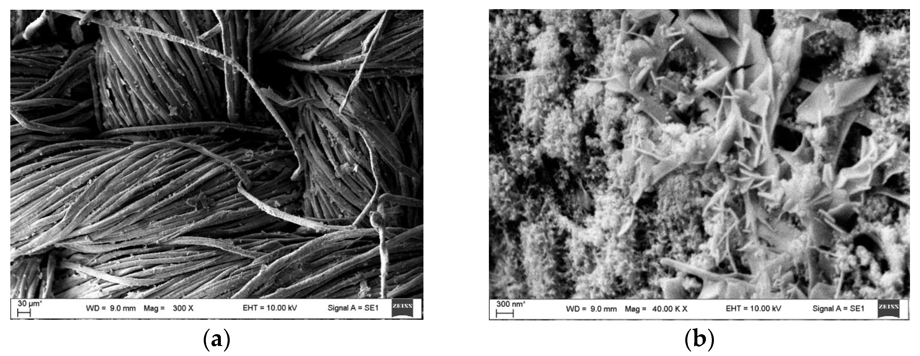 Applsci 15 09904 g013 Applsci 15 09904 g013