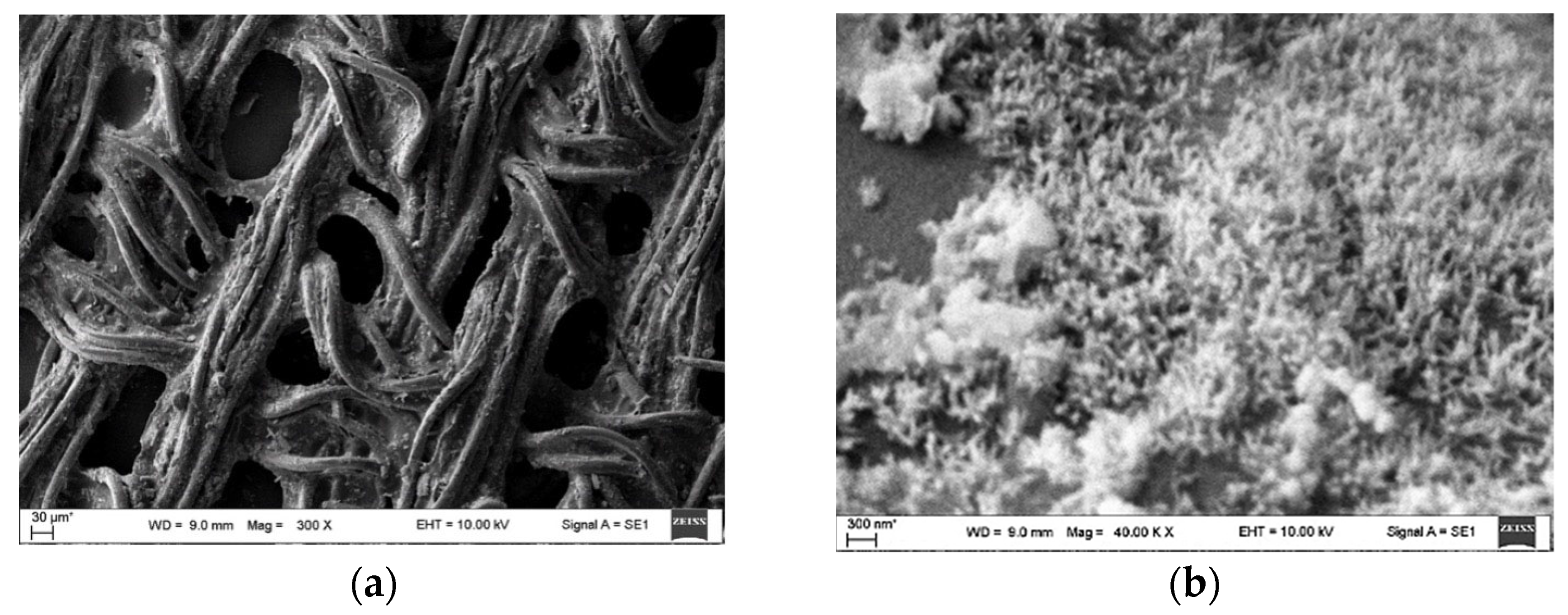 Applsci 15 09904 g017 Applsci 15 09904 g017