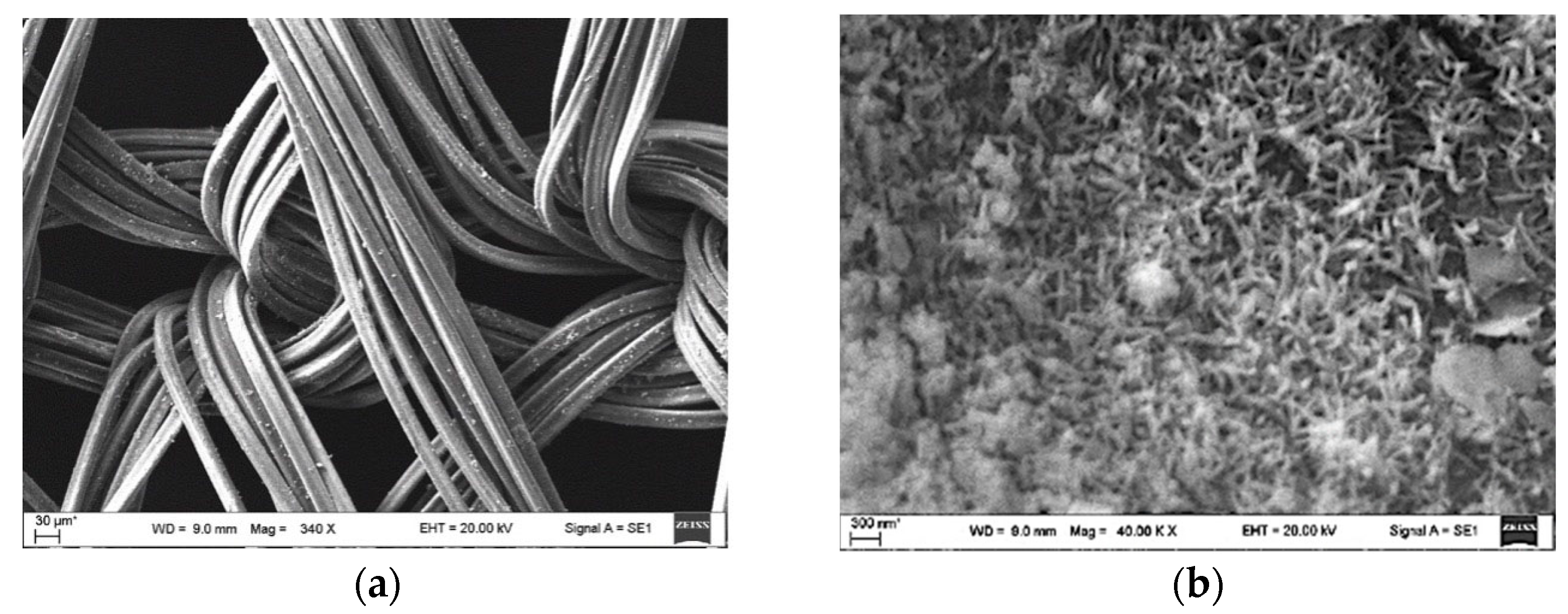 Applsci 15 09904 g021 Applsci 15 09904 g021