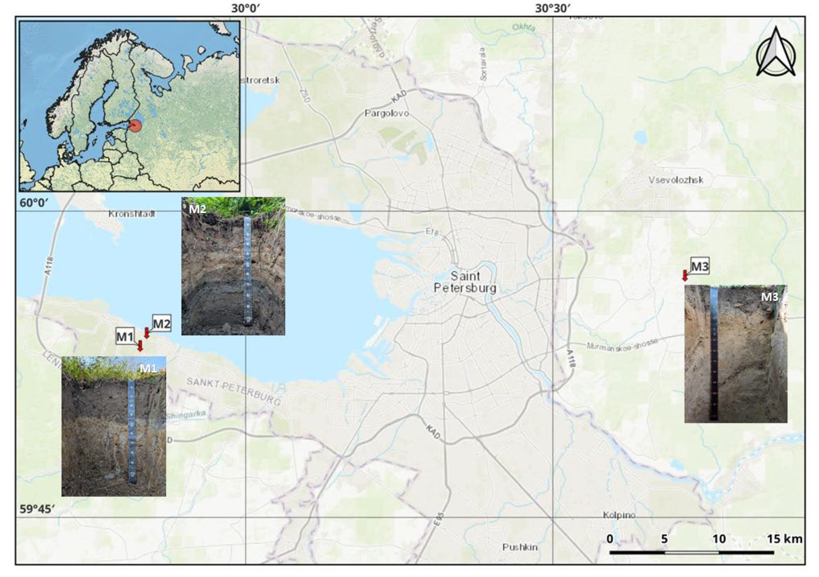 Applsci 15 09937 g002 Applsci 15 09937 g002