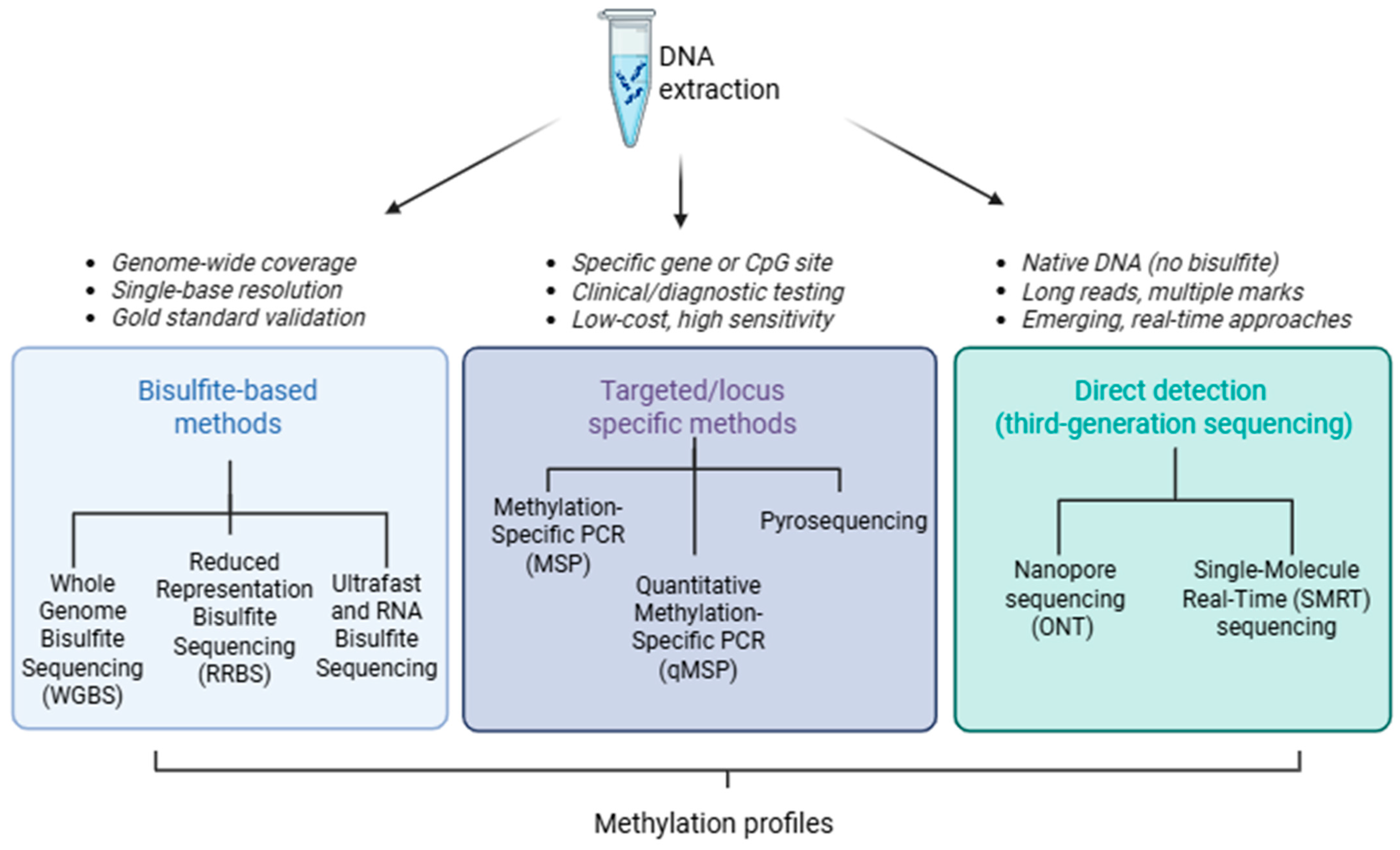 Applsci 15 09940 g001 Applsci 15 09940 g001