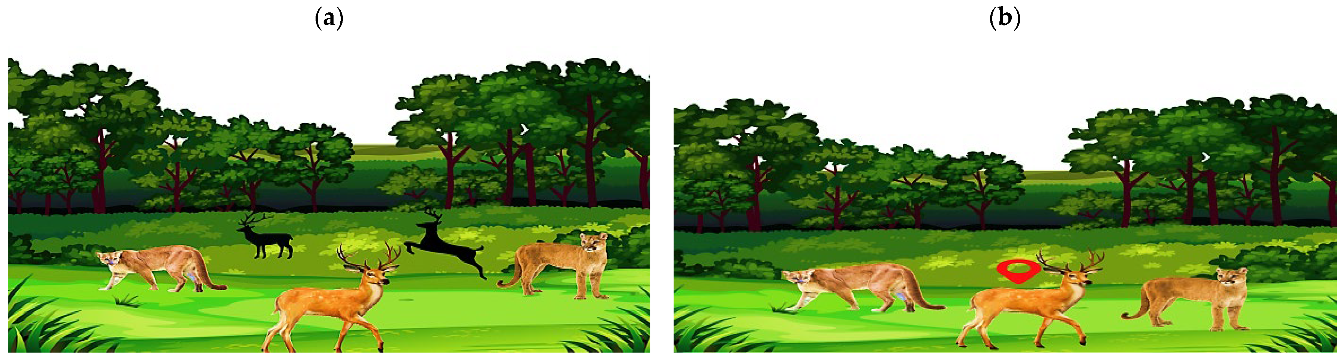 Applsci 15 09955 g001