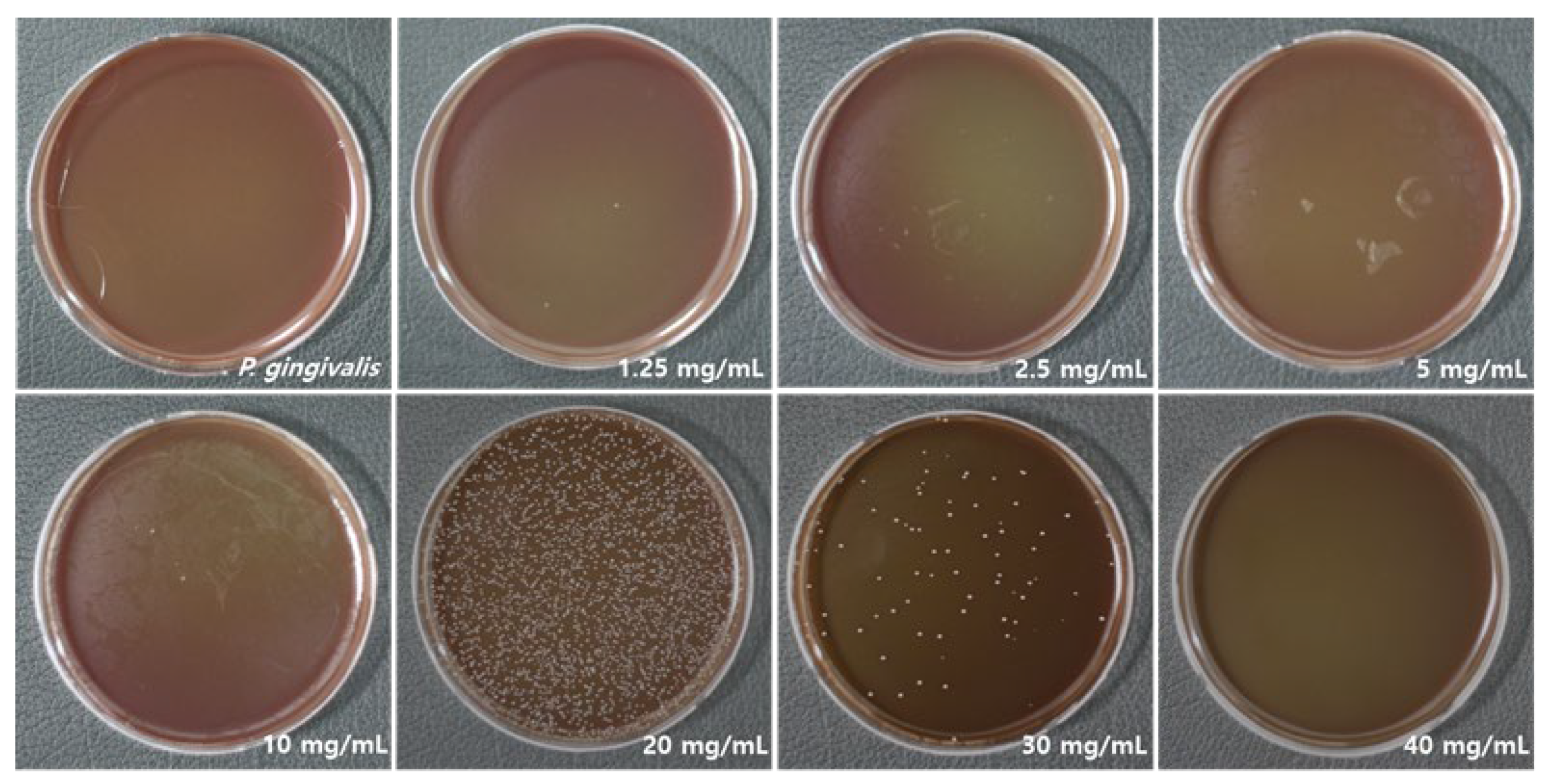 Applsci 15 09969 g001