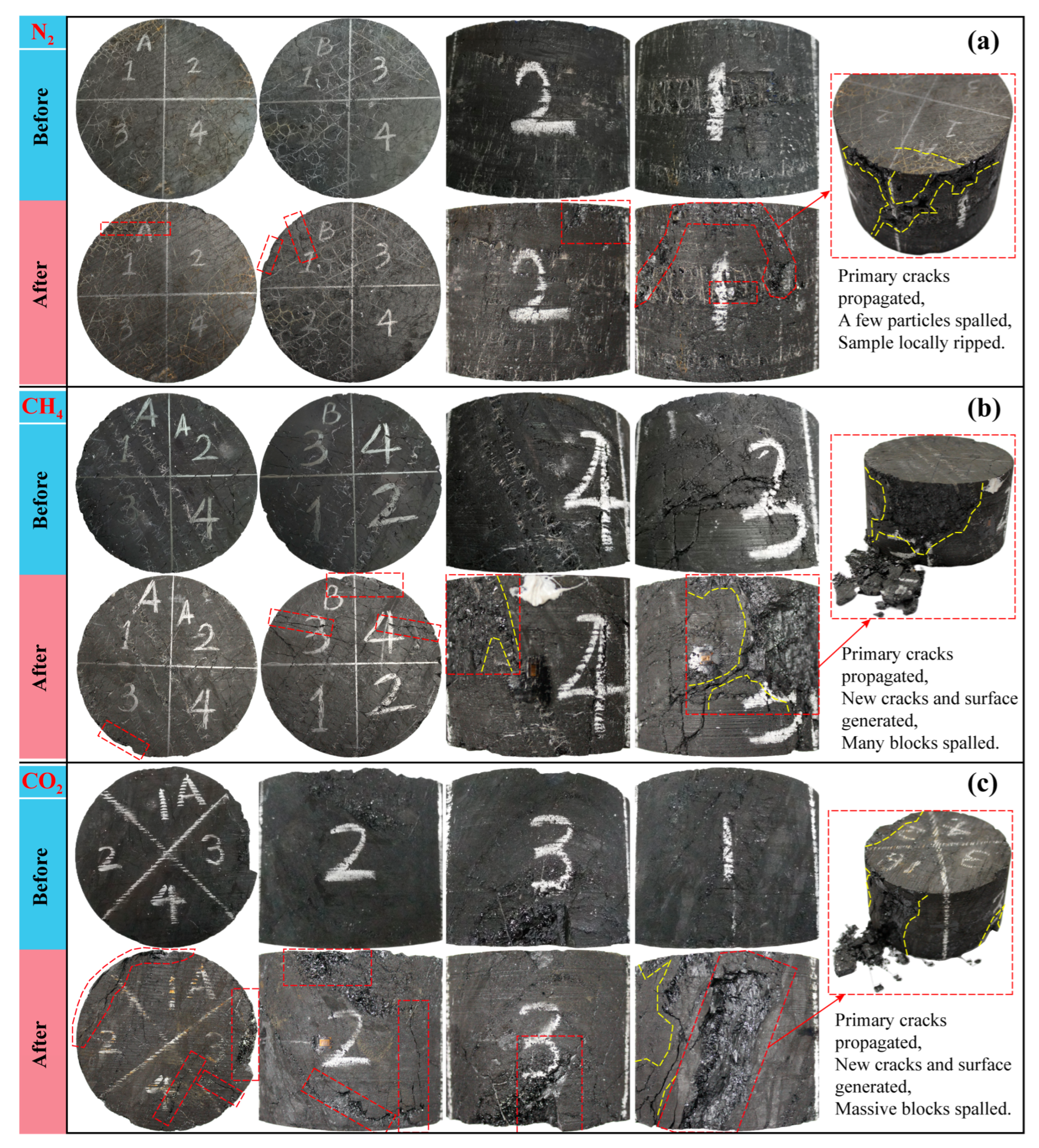 Applsci 15 09974 g007 Applsci 15 09974 g007