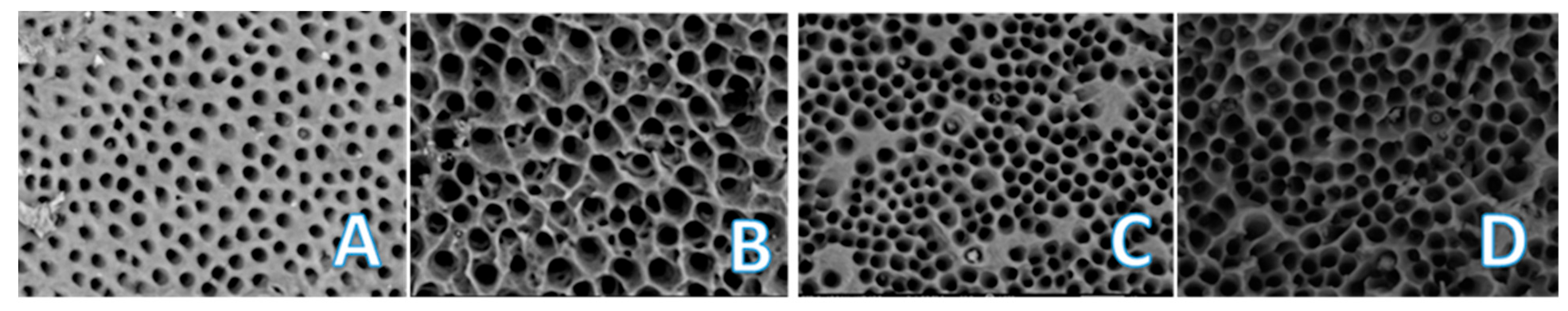 Applsci 15 09993 g006 Applsci 15 09993 g006