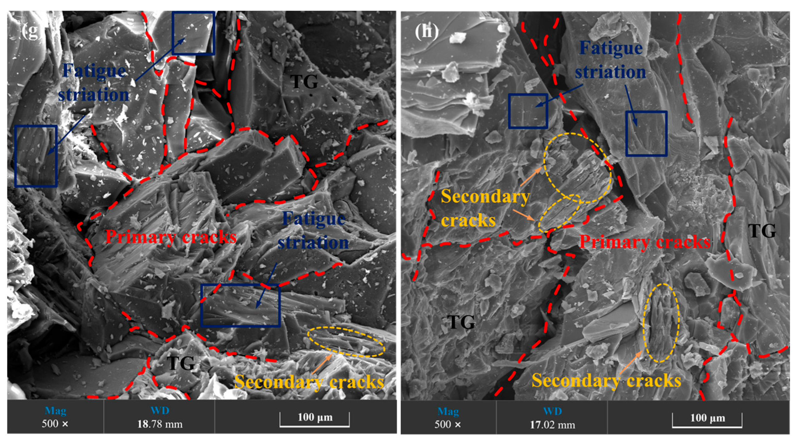 Applsci 15 09995 g010b
