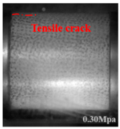 Applsci 15 09995 i004