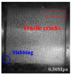 Applsci 15 09995 i005