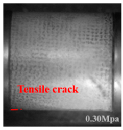 Applsci 15 09995 i006