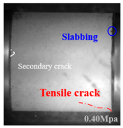 Applsci 15 09995 i008