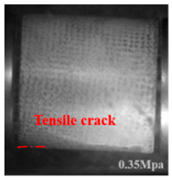 Applsci 15 09995 i011