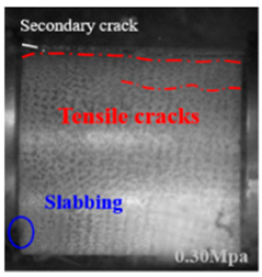 Applsci 15 09995 i015