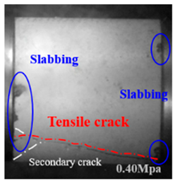 Applsci 15 09995 i022