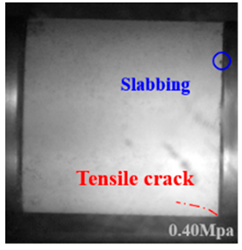 Applsci 15 09995 i023