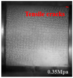 Applsci 15 09995 i027