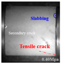 Applsci 15 09995 i028