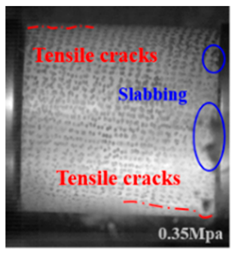 Applsci 15 09995 i029