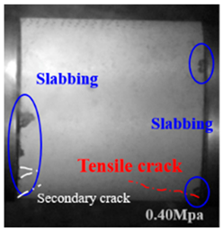 Applsci 15 09995 i038