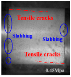 Applsci 15 09995 i040