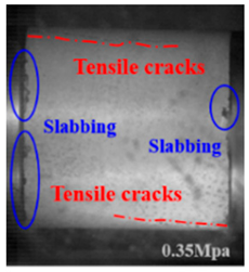 Applsci 15 09995 i045