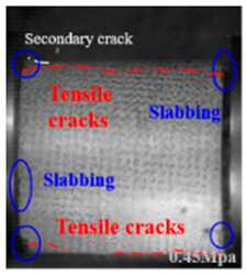 Applsci 15 09995 i046