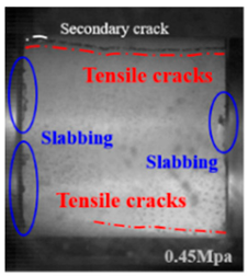 Applsci 15 09995 i050