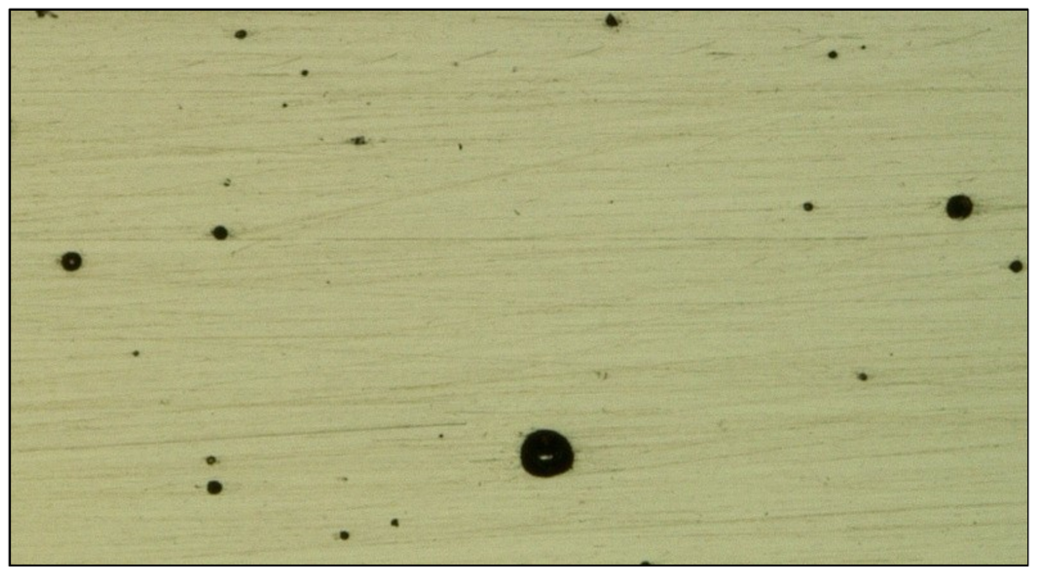 Applsci 15 10004 g001