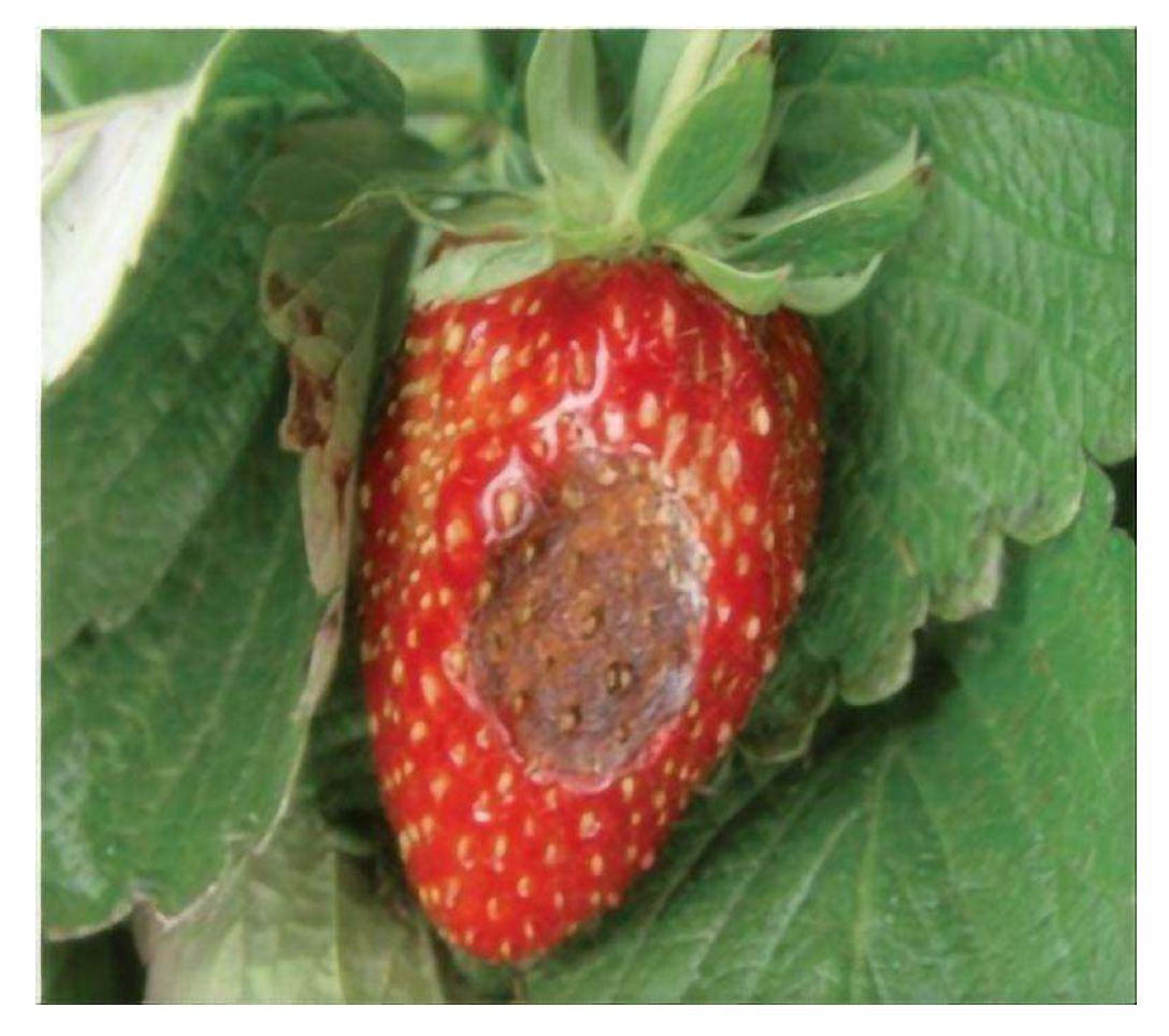 Applsci 15 10025 g002