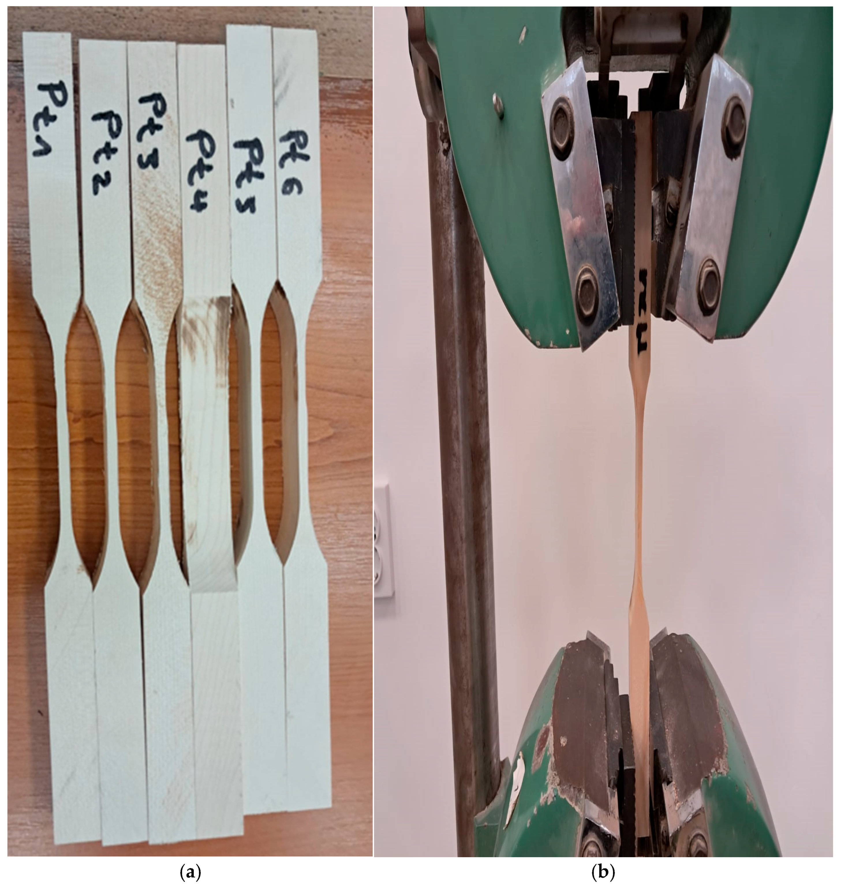 Applsci 15 10054 g002