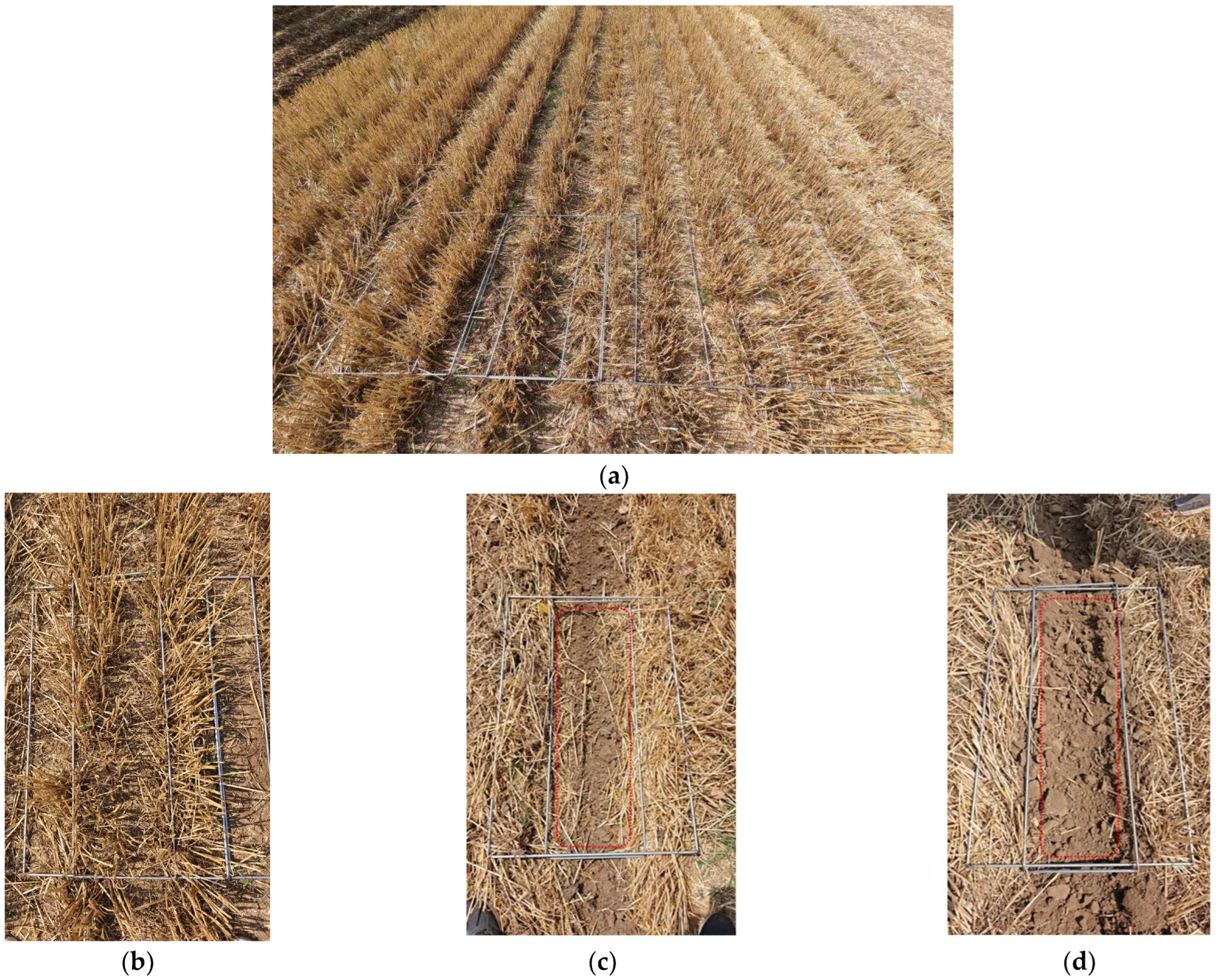 Applsci 15 10062 g015 Applsci 15 10062 g015