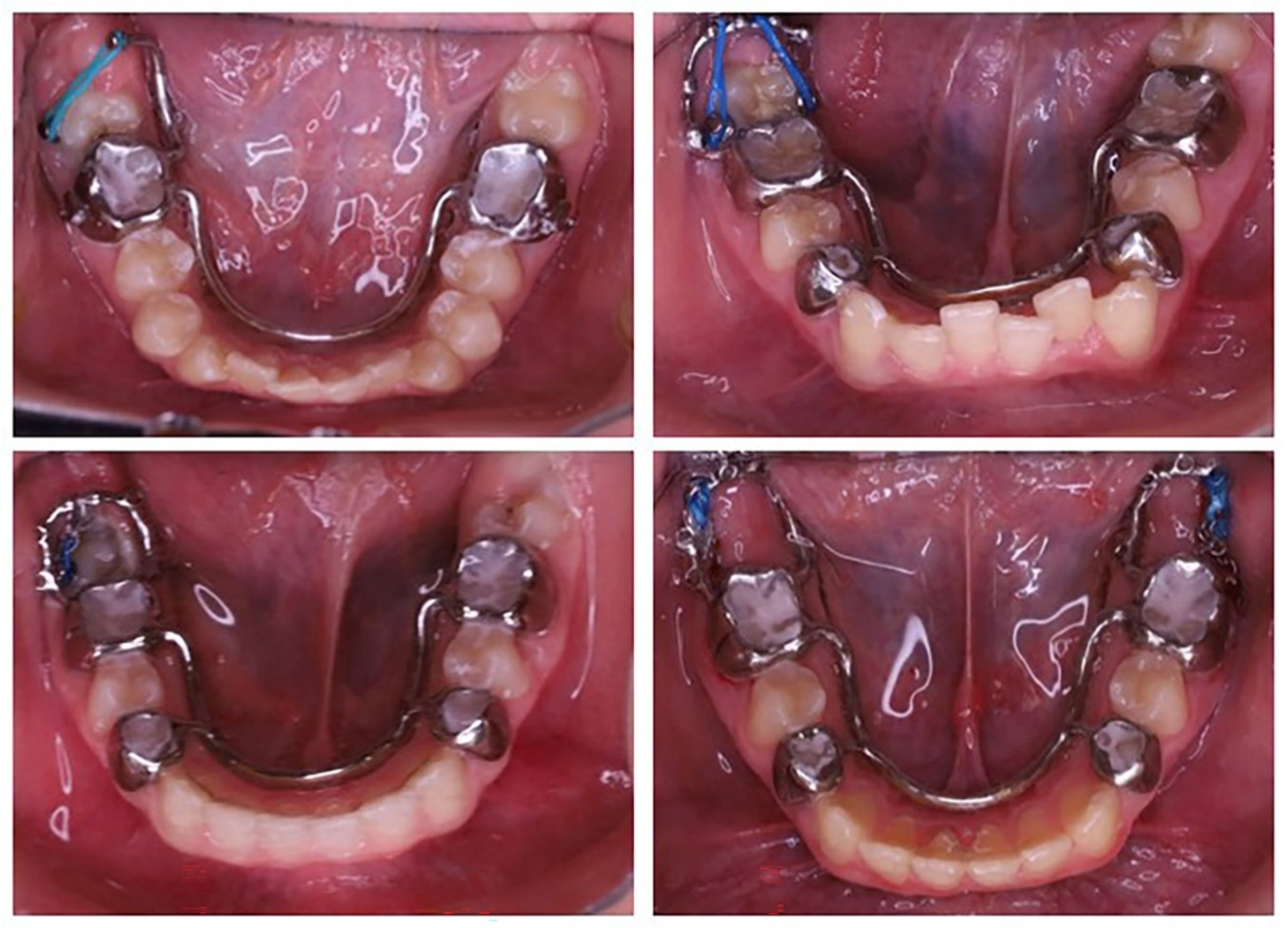 Applsci 15 10074 g005