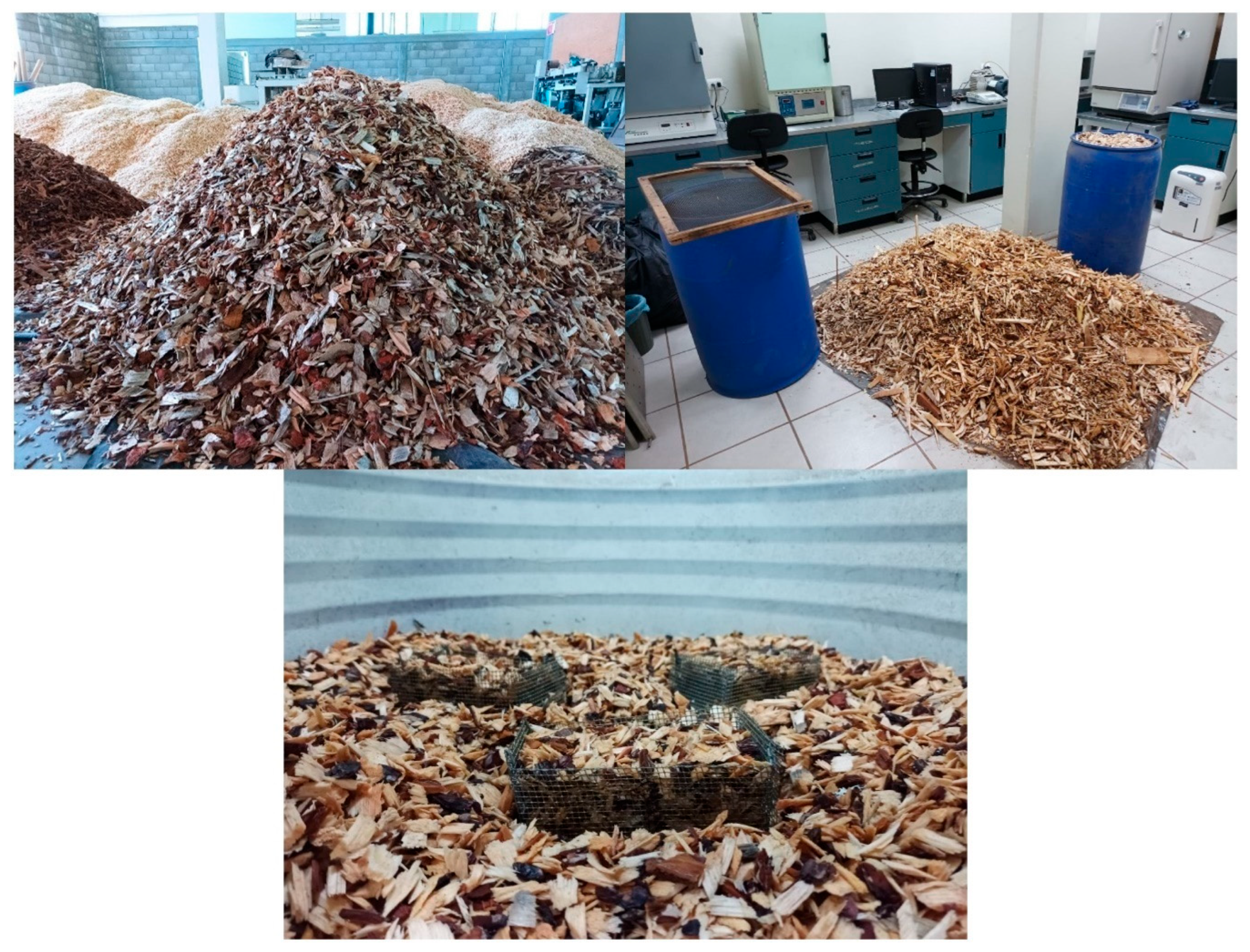 Applsci 15 10081 g001 Applsci 15 10081 g001