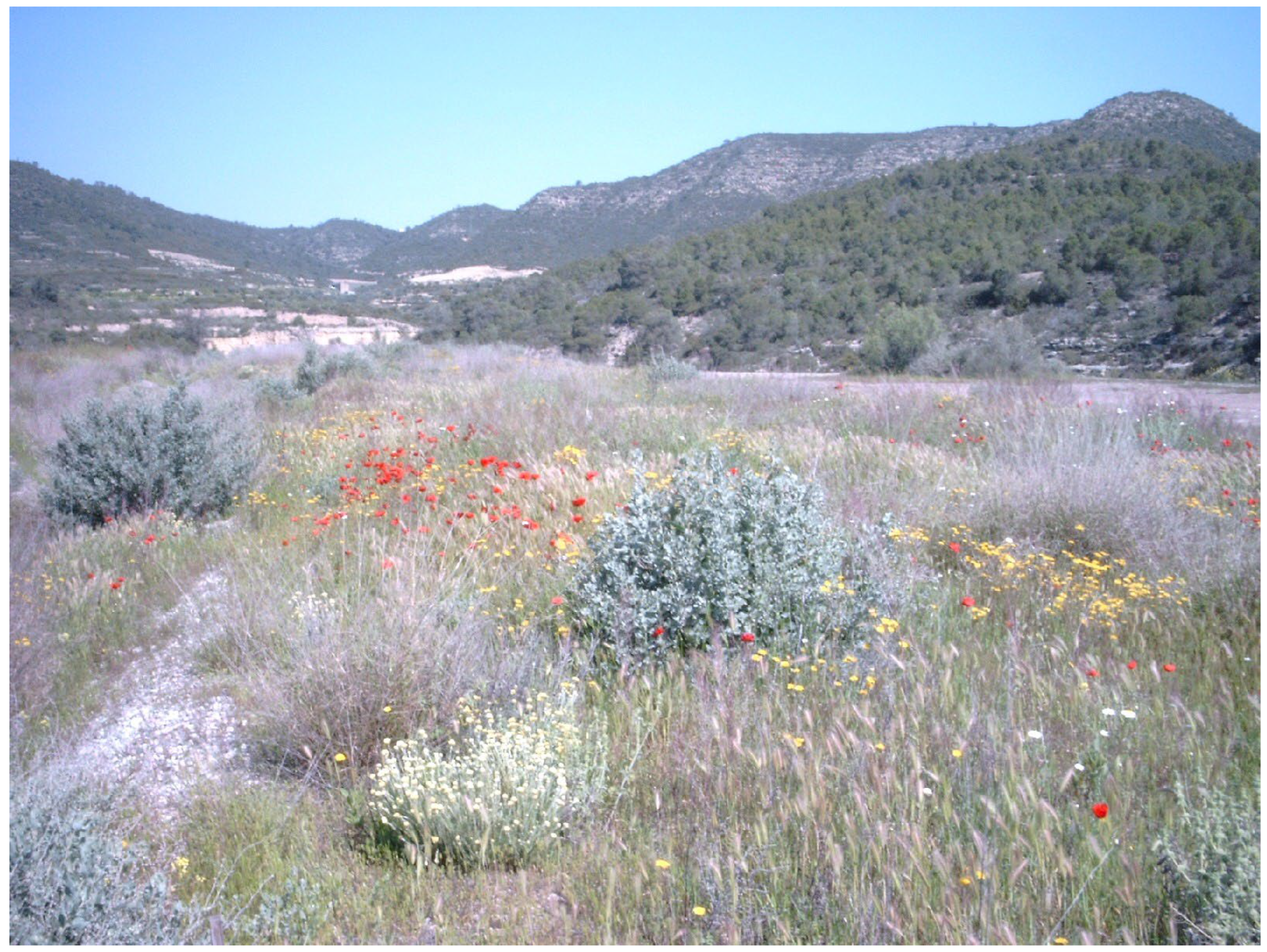 Applsci 15 10111 g002