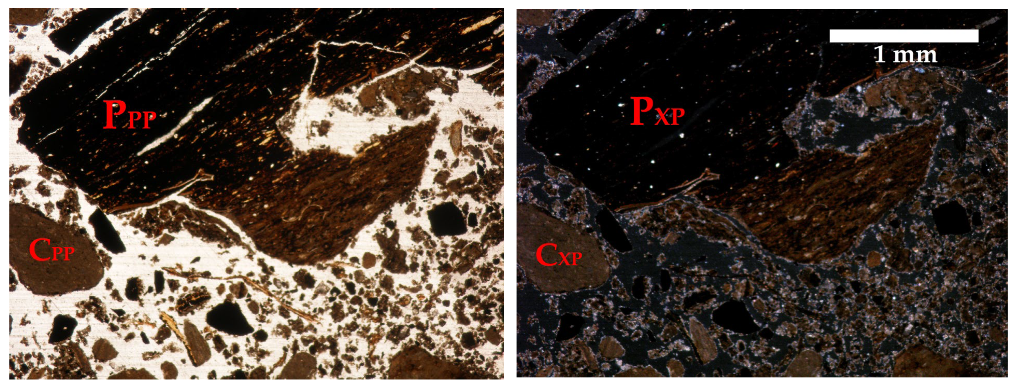 Applsci 15 10111 g004