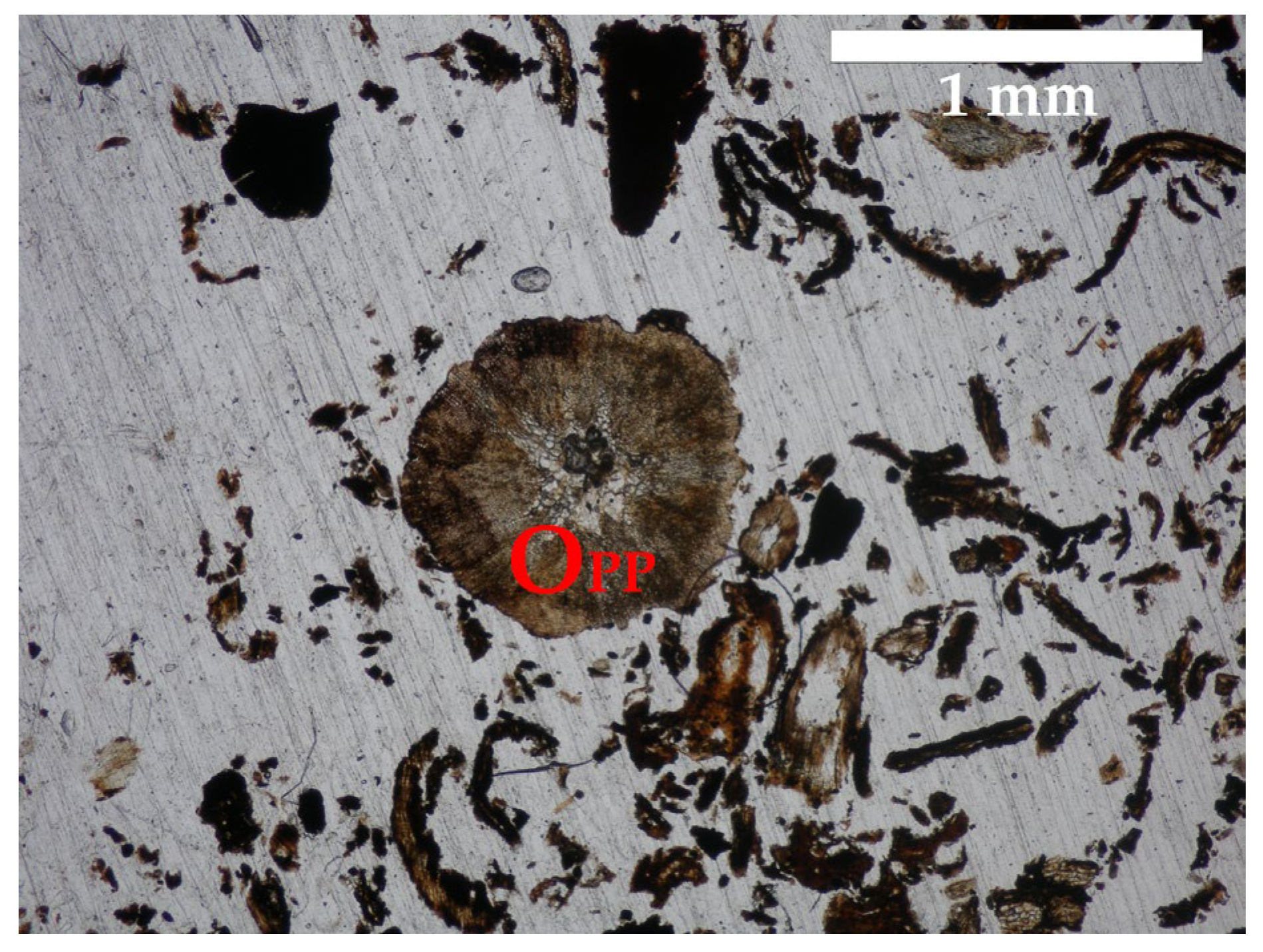 Applsci 15 10111 g007