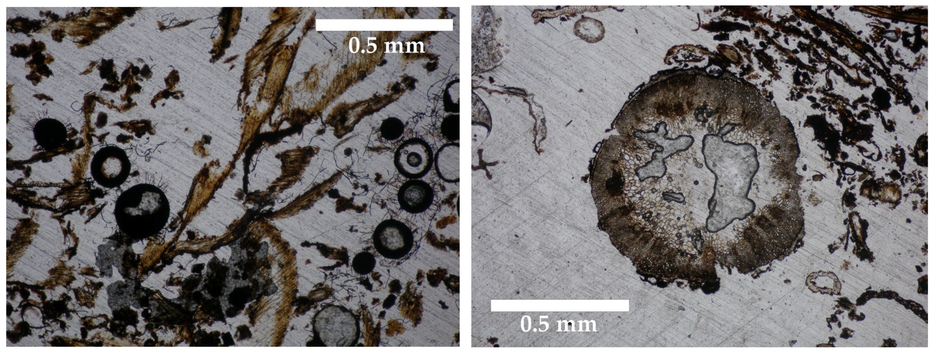 Applsci 15 10111 g008